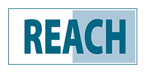 Reach Logo