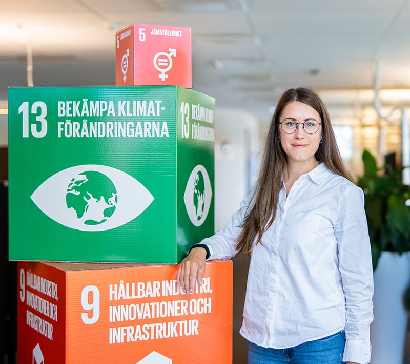 De globala målen och Elin Öggesjö