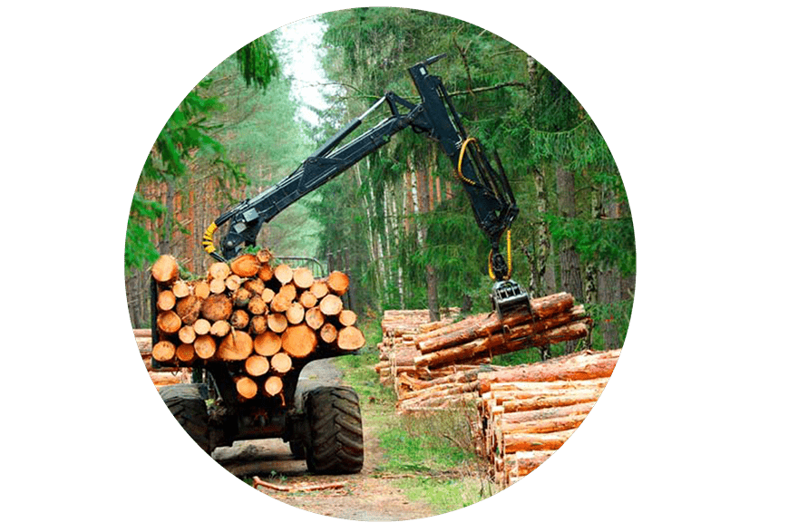 Användningsområde svängkranslager