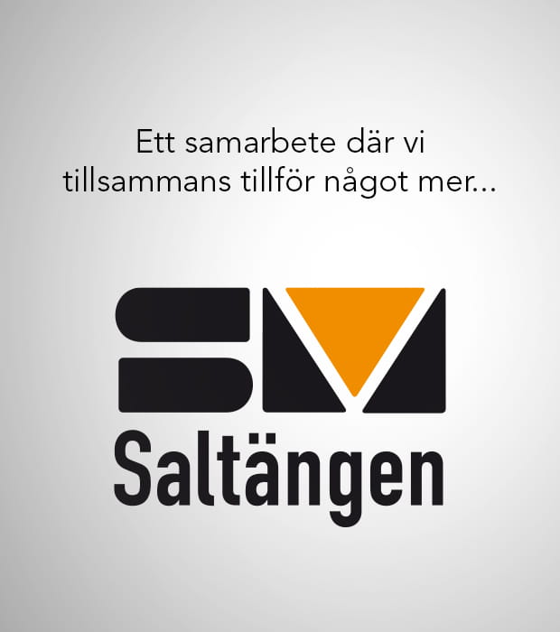 Samarbete Saltängen 2