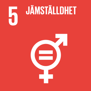 UN Global Goals 5 jämställdhet
